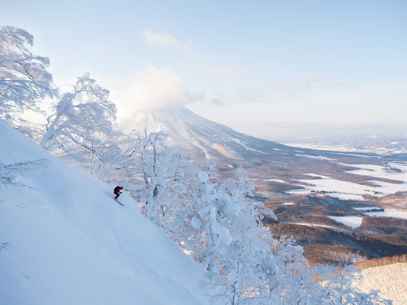 Lorraine Huber Japan