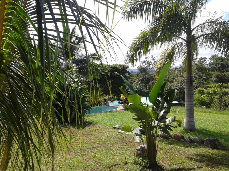 Finca Buena Vista Garten