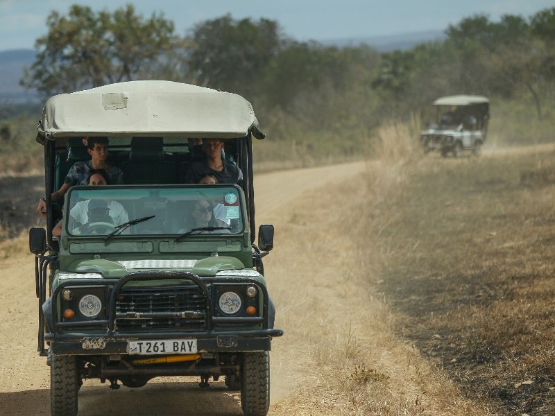 Game Drive 