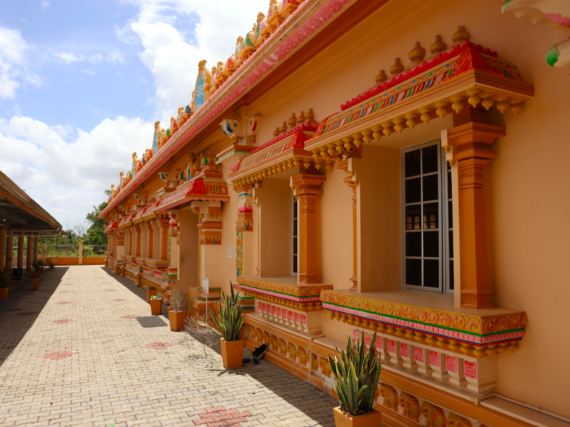 East Indian Cultural Experience, Trini