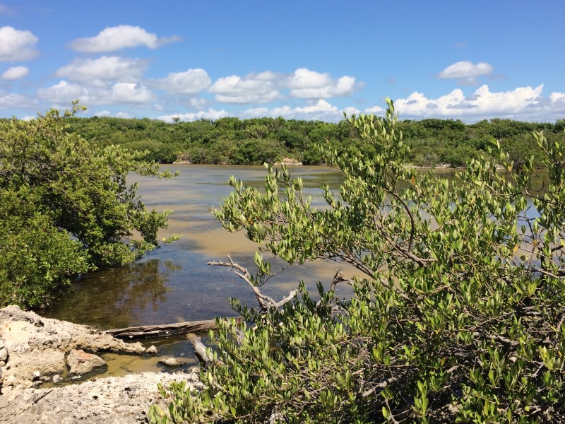 Laguna de Oviedo - Landschaft