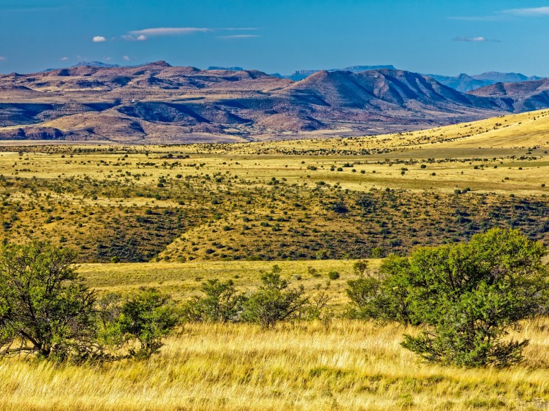 Zebra National Park-Cradock-Südafrika
