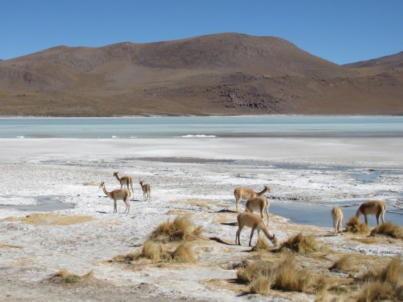 Salar de Uyuni