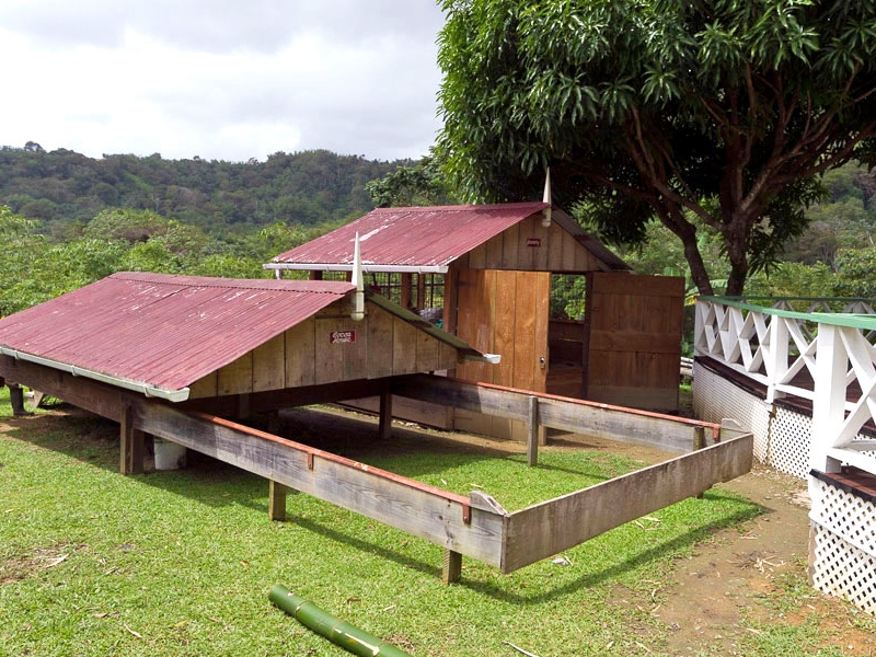 Cocoa estate