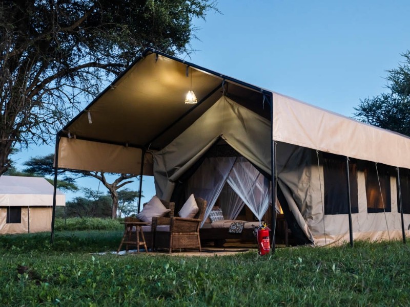 Safari Comfort in der South Serengeti