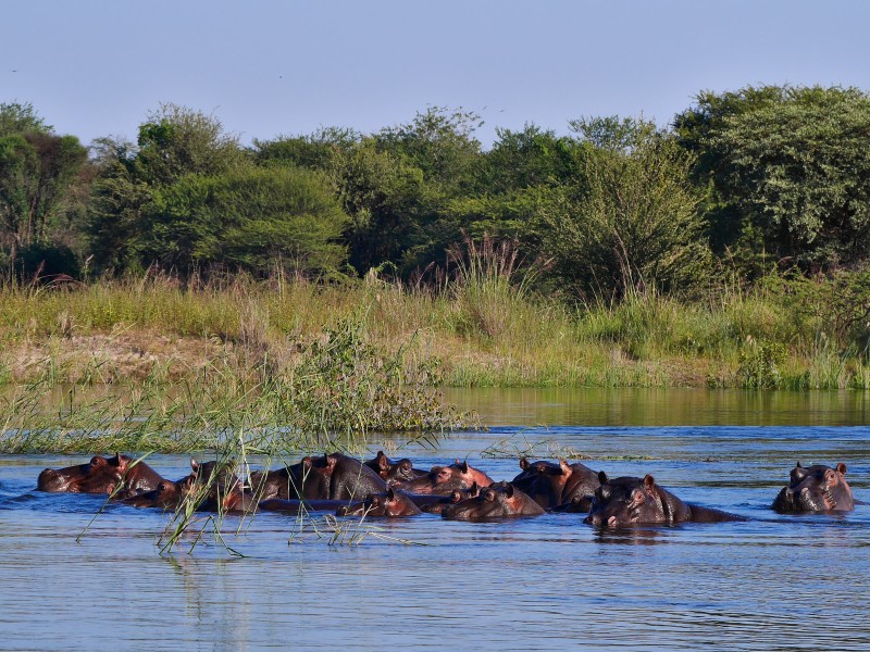 Namibia - Divundu - Okavango river