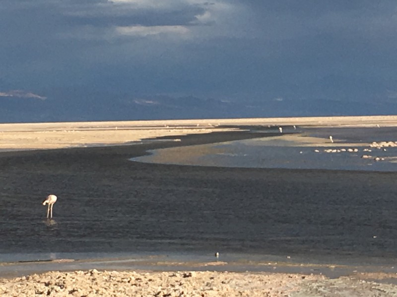 San Pedro Atacama - Salzsee
