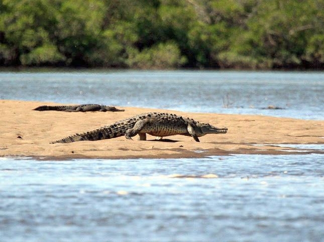 La Ensenada Lodge - Lagune