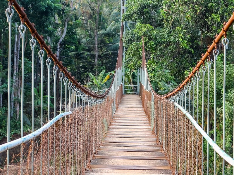 Hanging bridge 