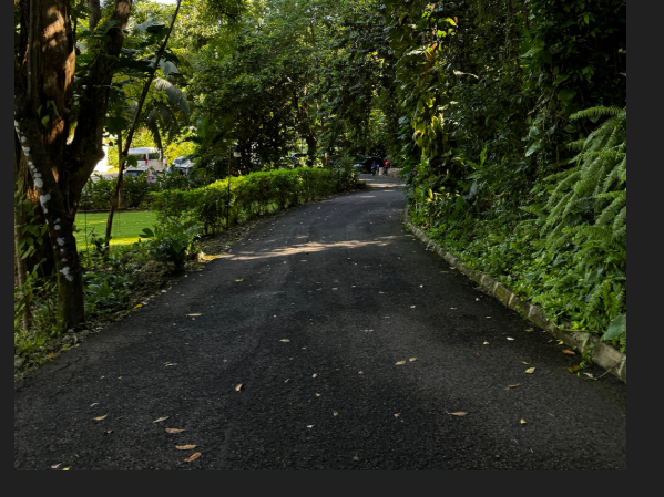 Paved Road 