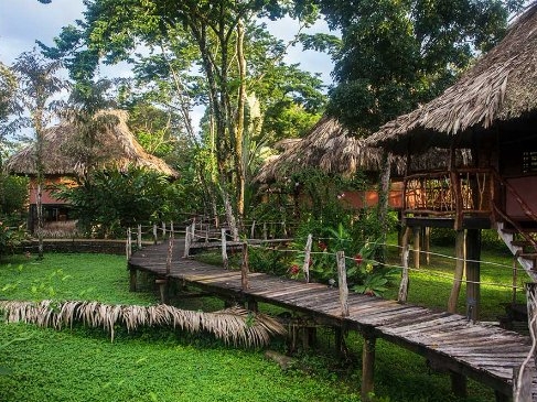 Cotton Tree Lodge - Cabañas