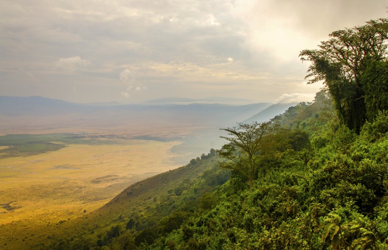 Ngorongoro Rim Walk