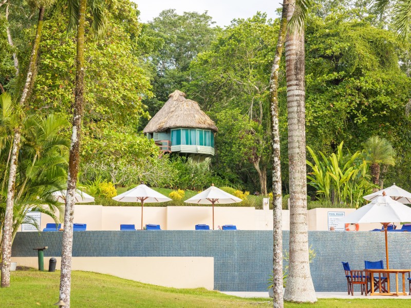 Chaa Creek Lodge - Pool