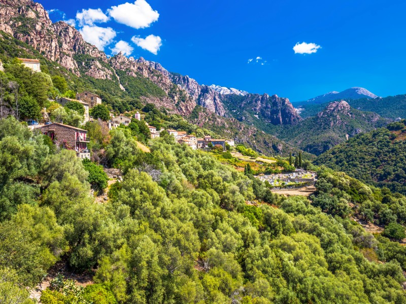 France - Corsica, Ota