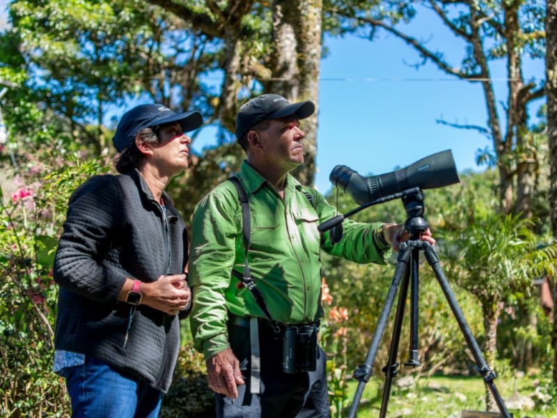 Sueños del Bosque - Vogelbeobachtung