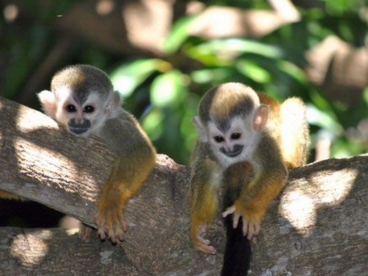 Boca Chica - Hinterland