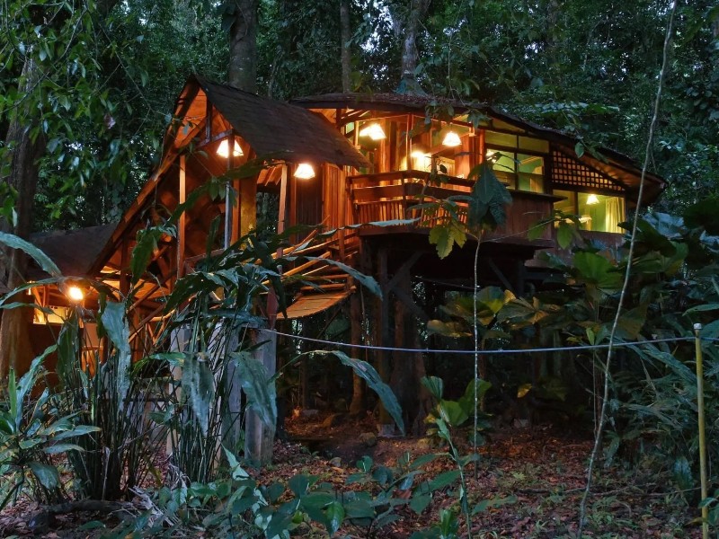Tree House Lodge - Abendstimmung