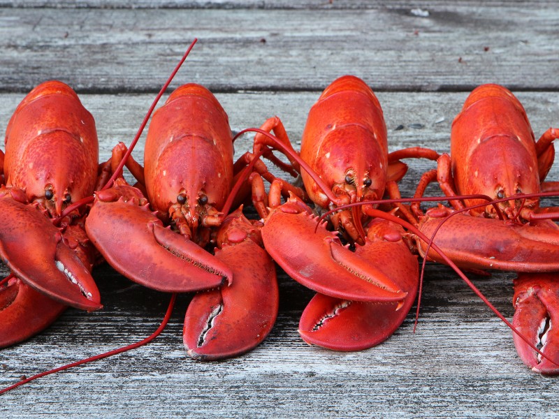 USA - East USA - Nantucket