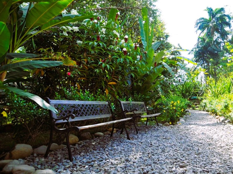 Naturalmente  - Garten
