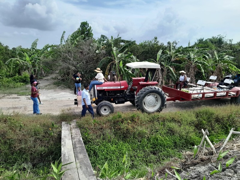 Singhs Farm