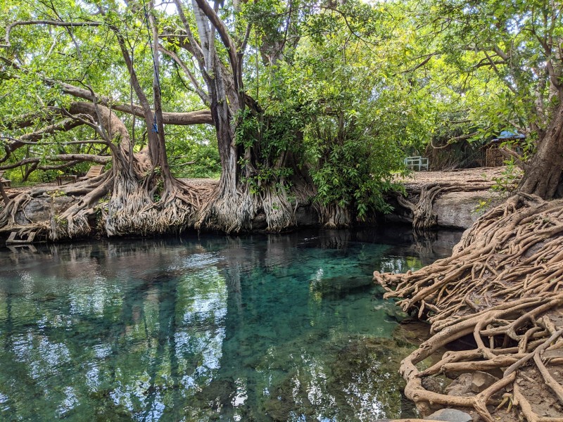 Kikuletwa Hot Spring