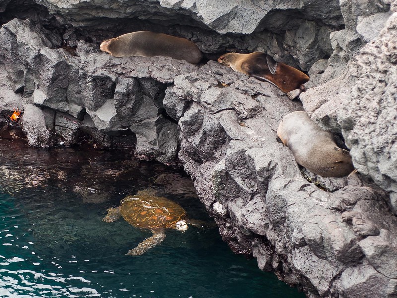 In Harmonie miteinander