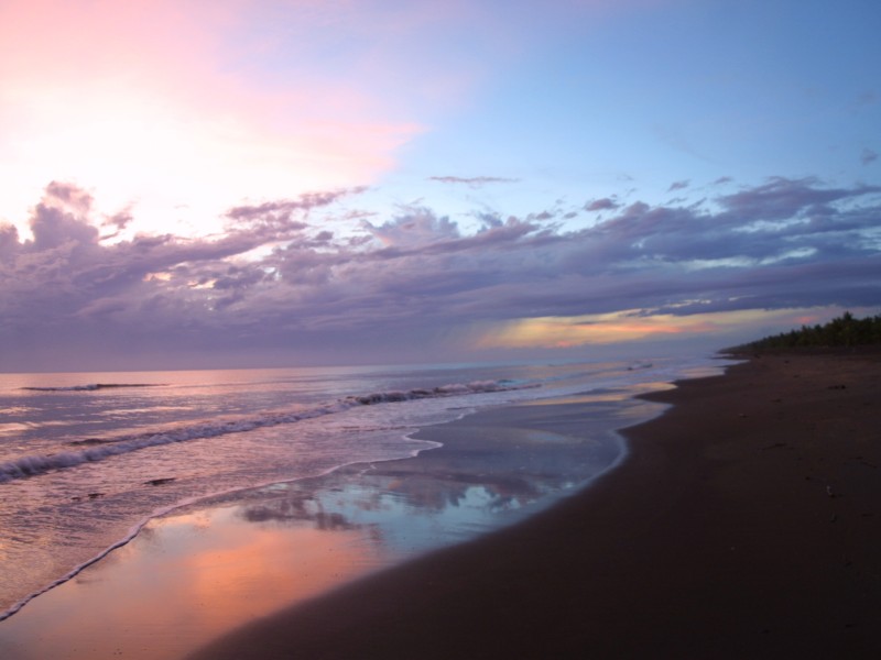 Turtle Beach Lodge - Strand