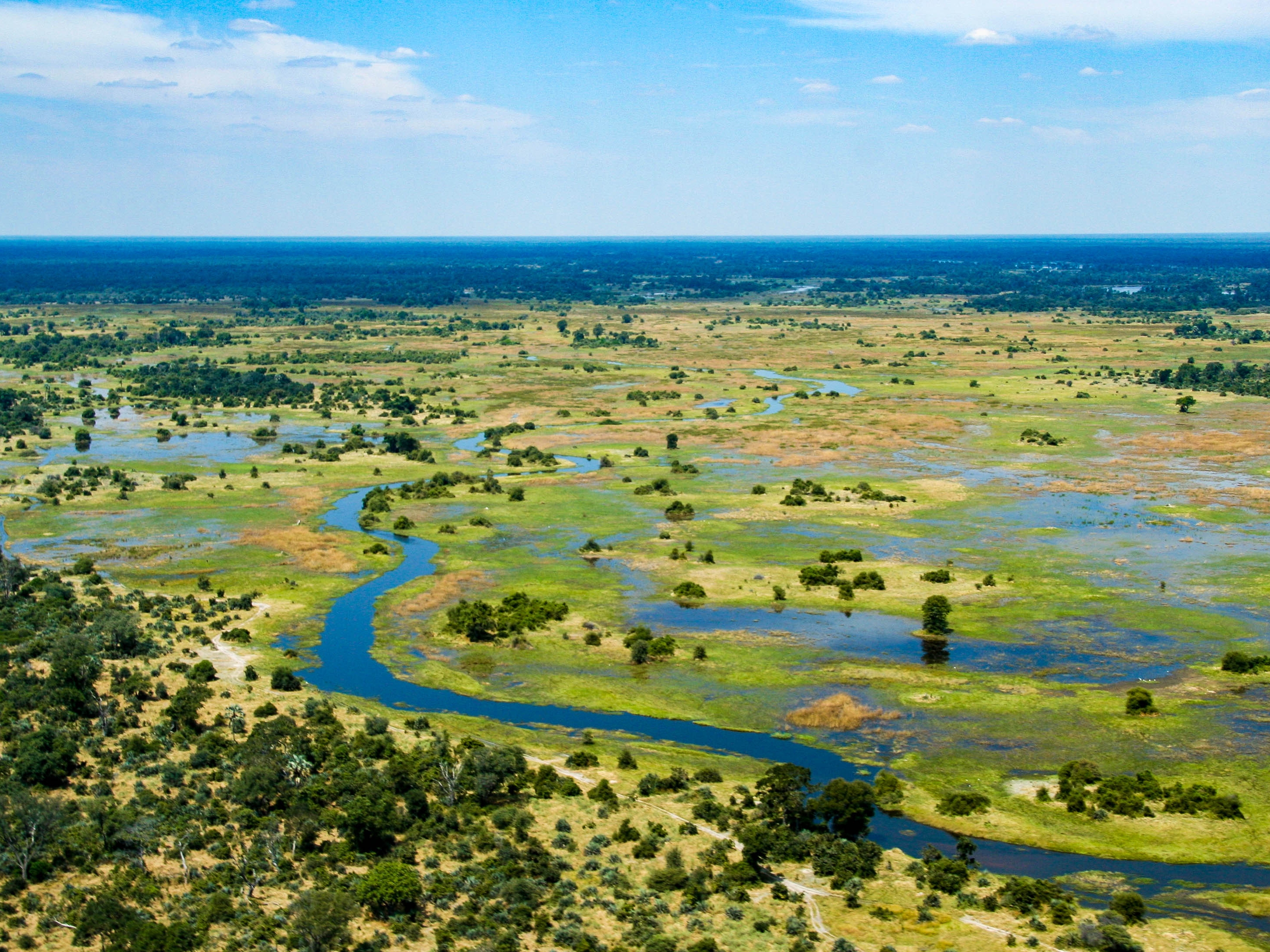 Okavango Delta 
