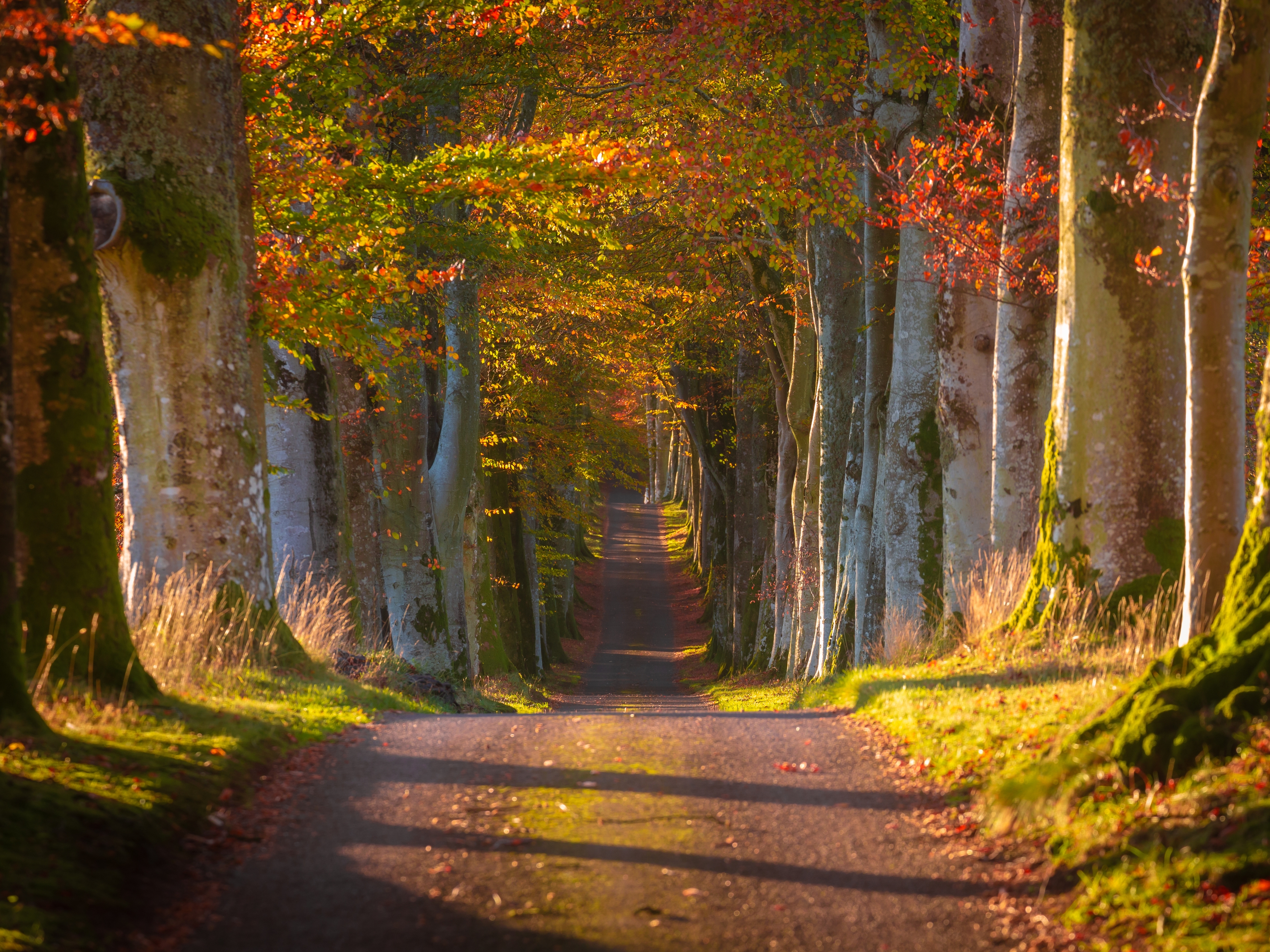 Crieff Drummond Castle Gardens