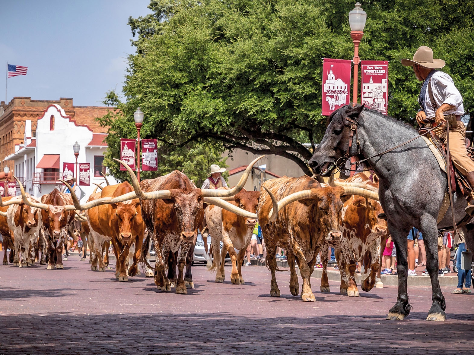 Fort Forth Stockyards