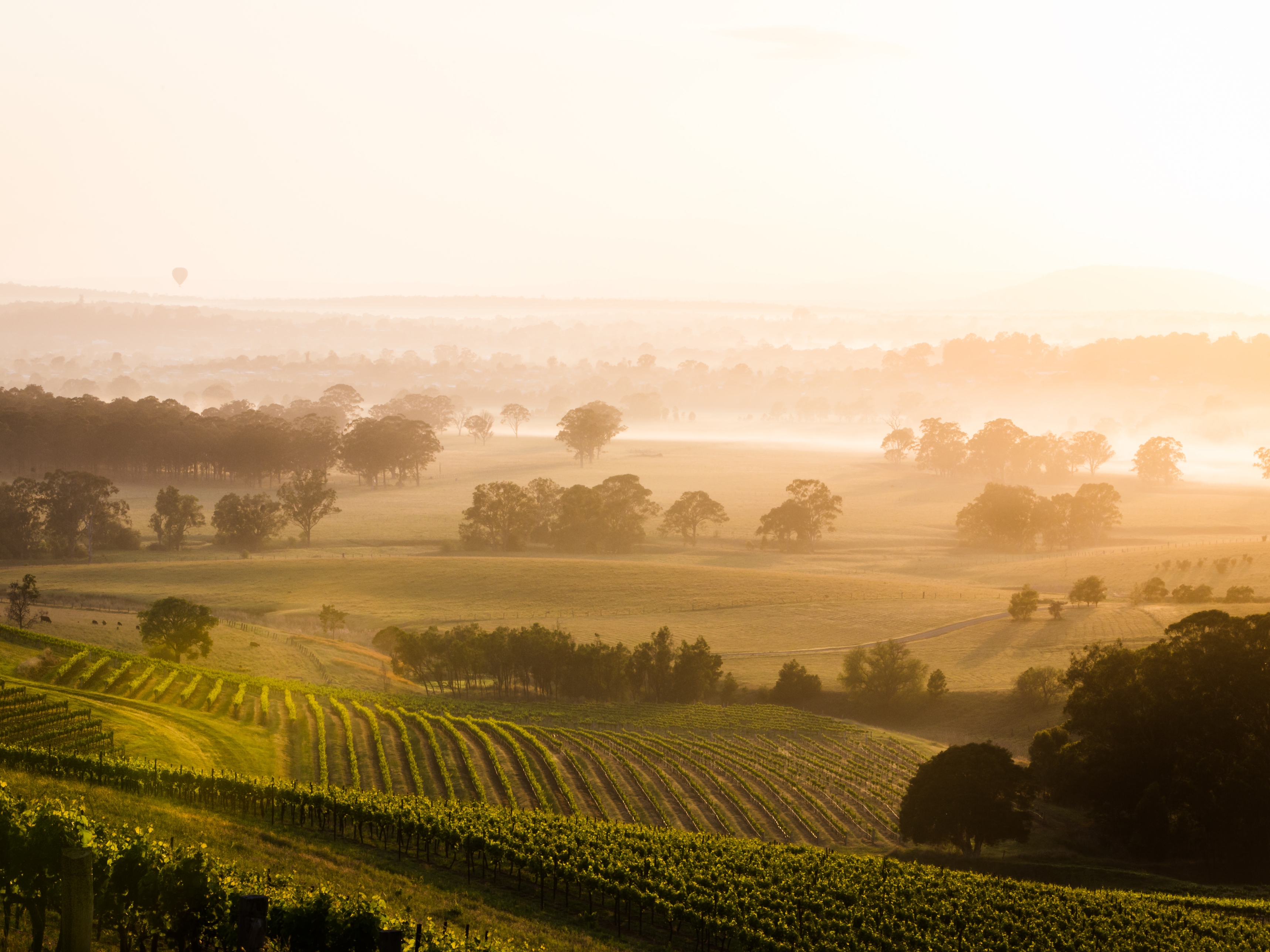 Hunter Valley Sonnenuntergang