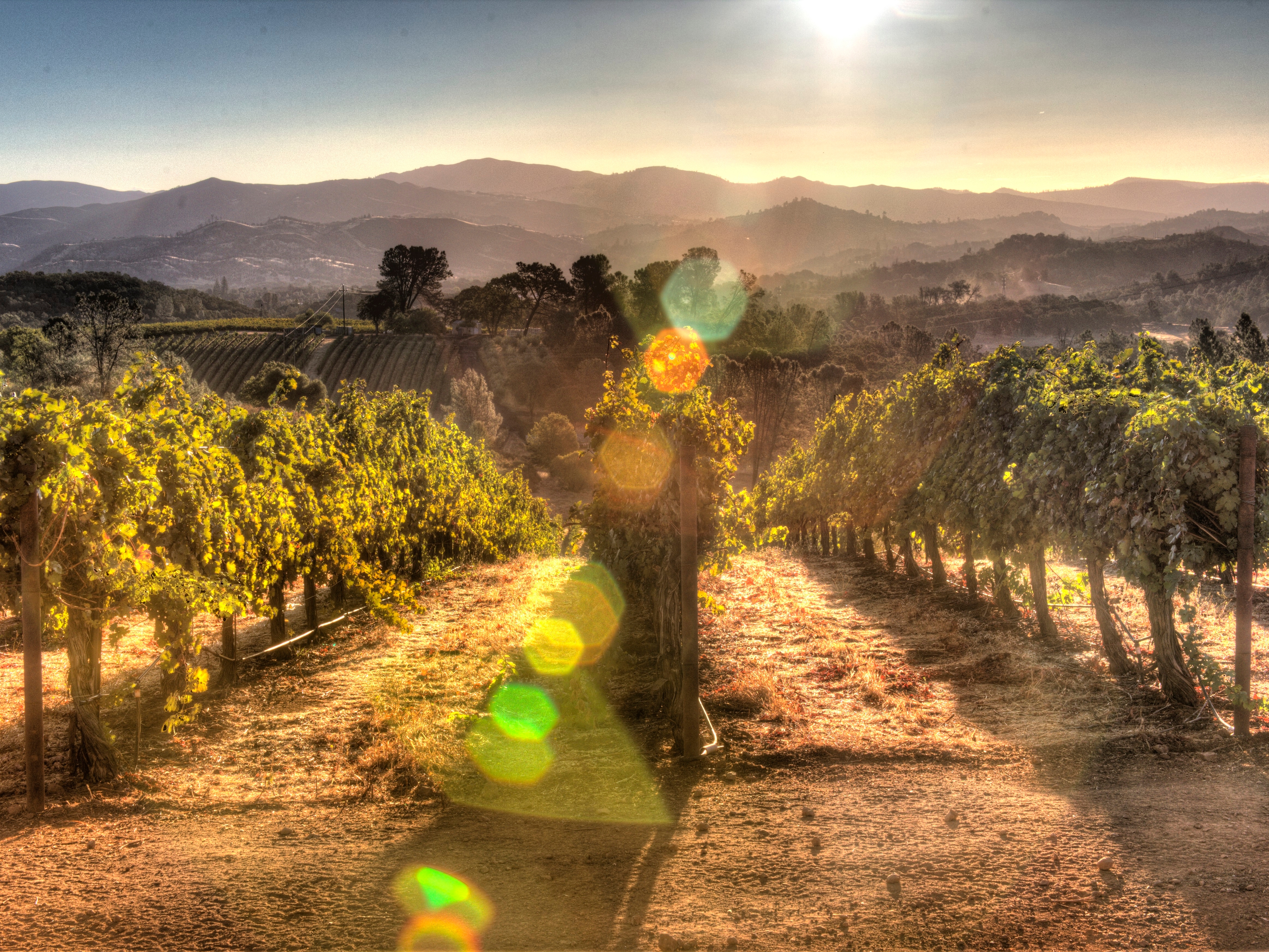 Napa Valley Sonnenuntergang