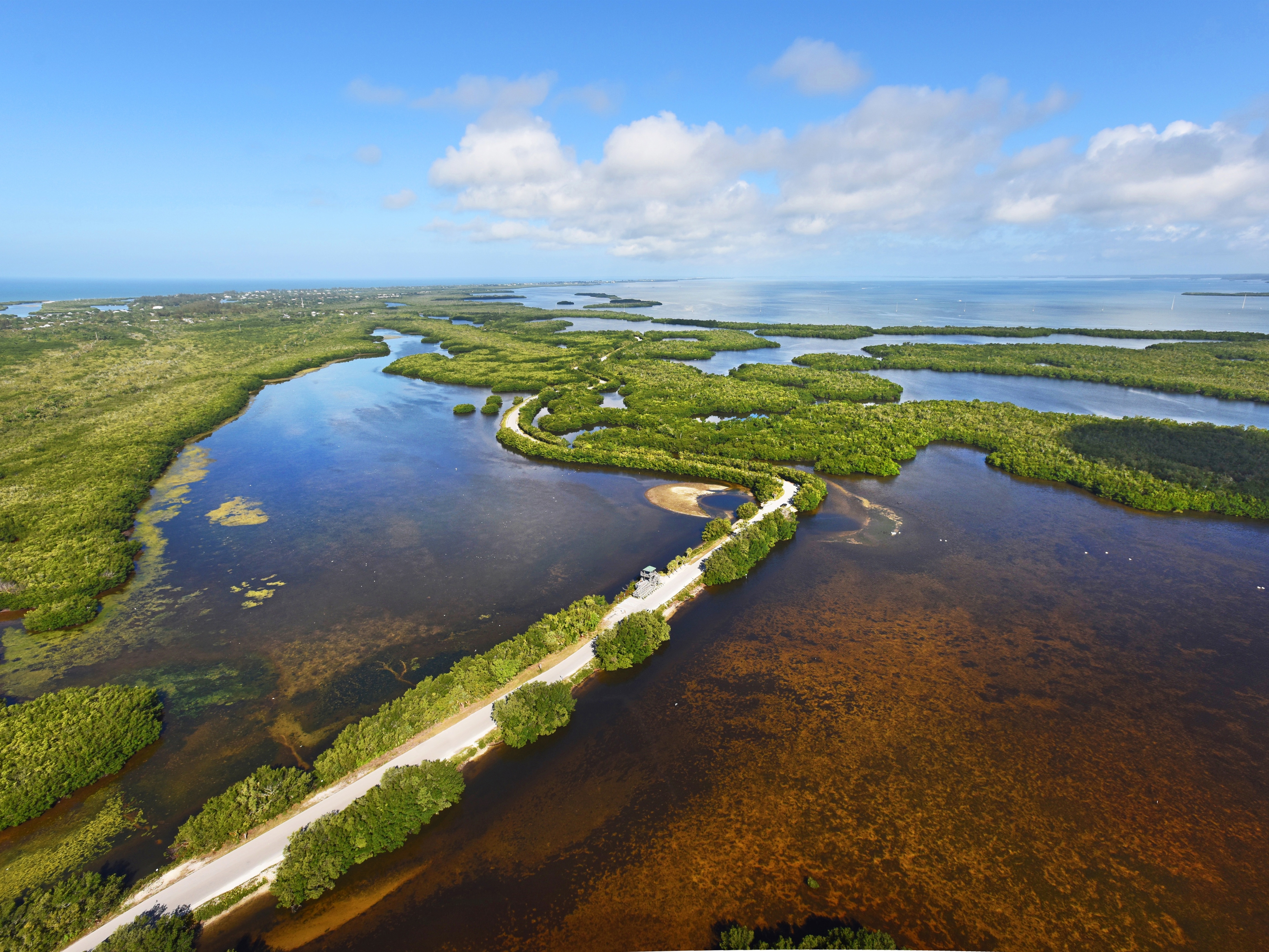 JN Ding Darling National Wildlife Refuge