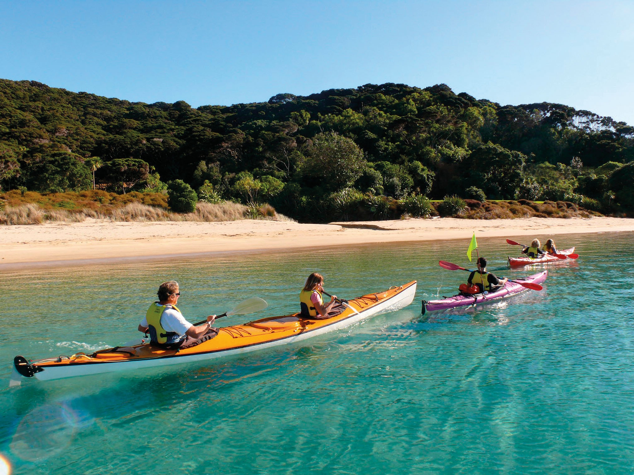 Bay of Islands Kajaktour