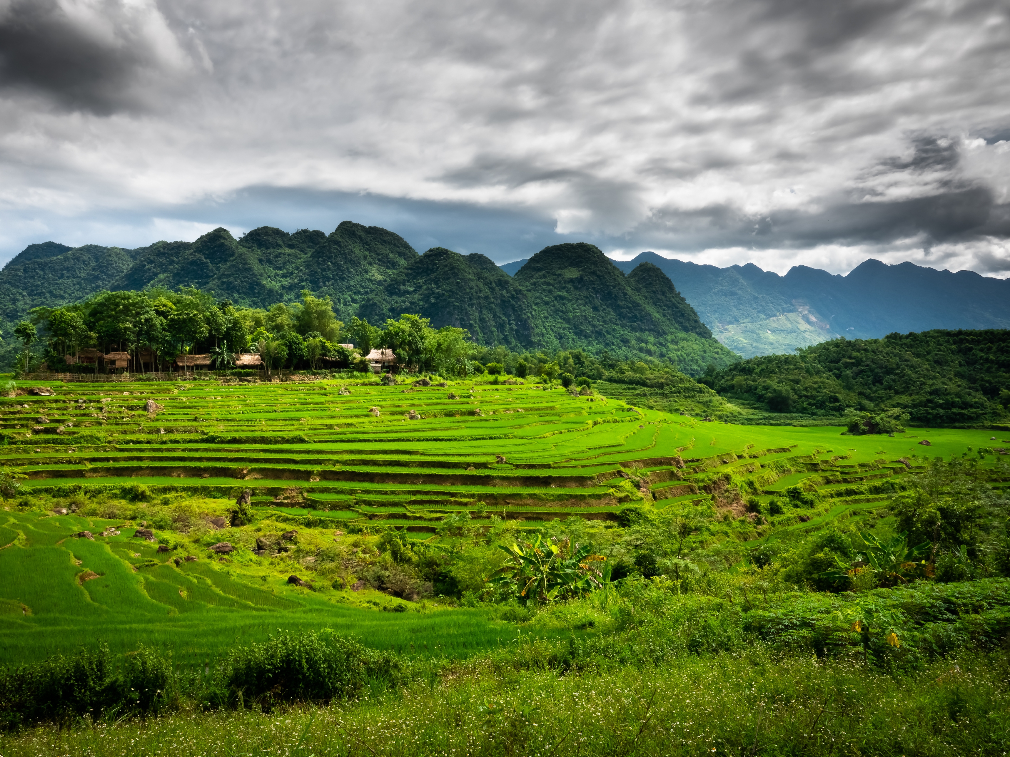 Vietnam Mai Chau Valley Reisfelder