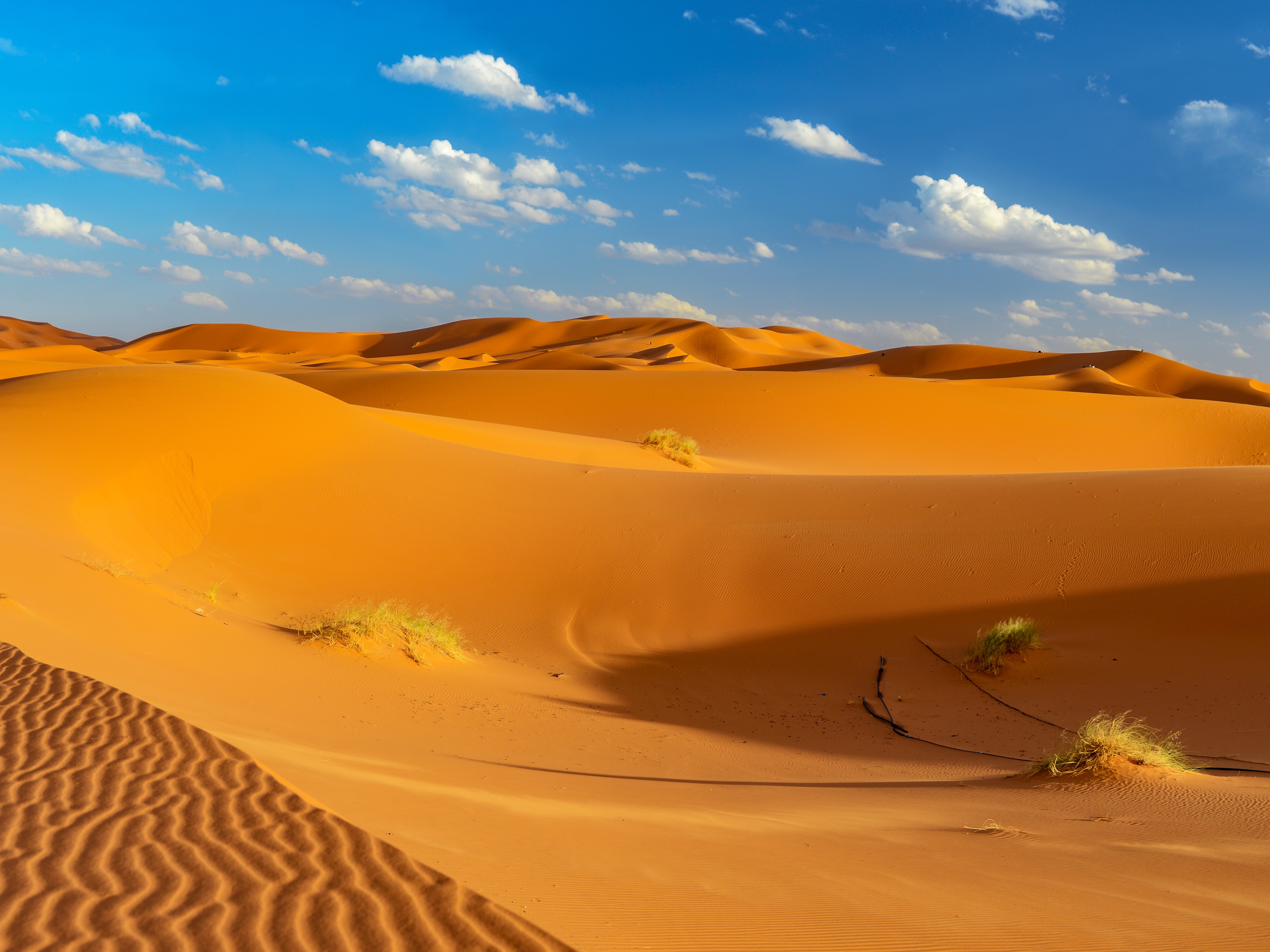 Sahara Erfoud