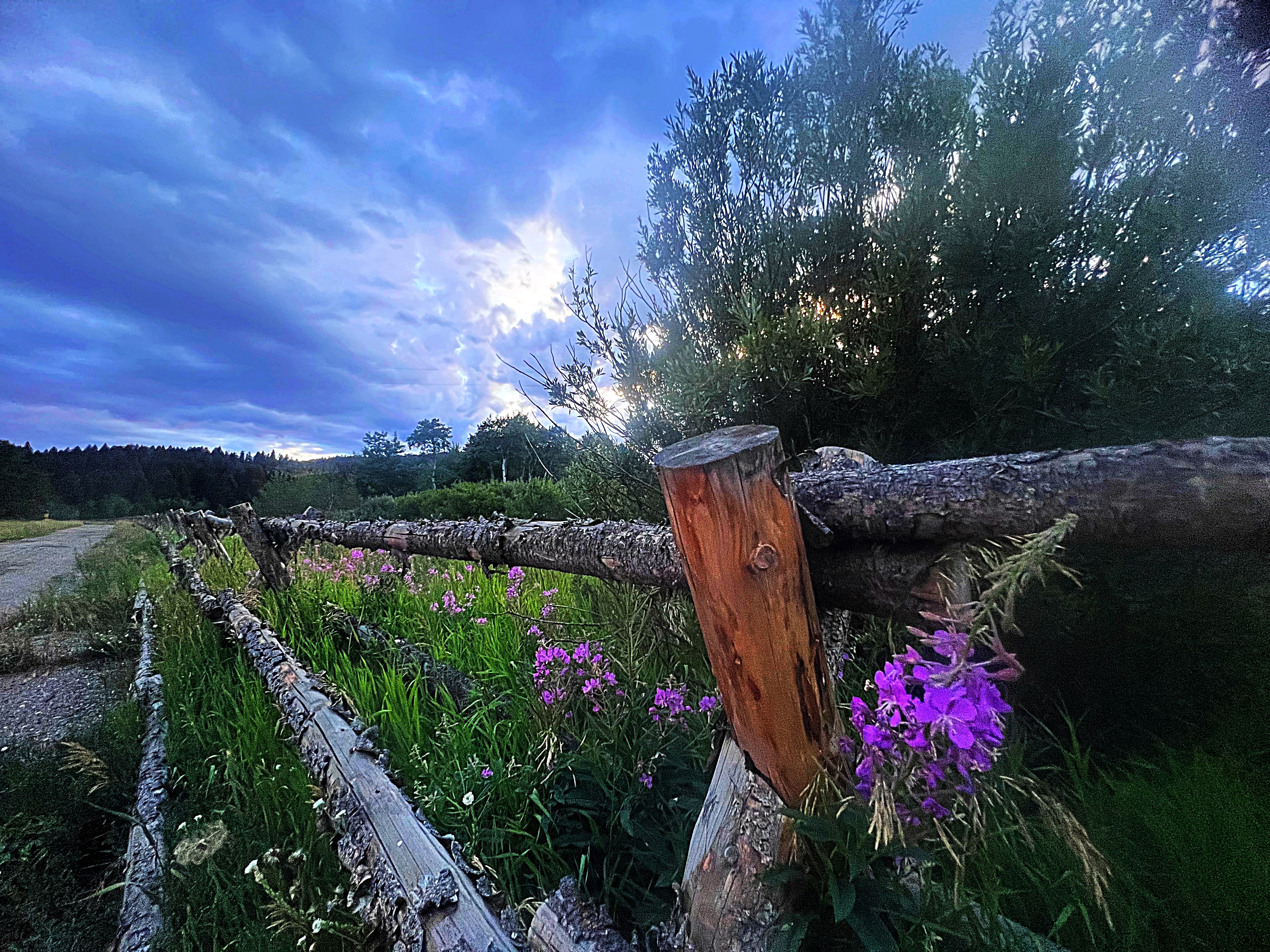 West Yellowstone