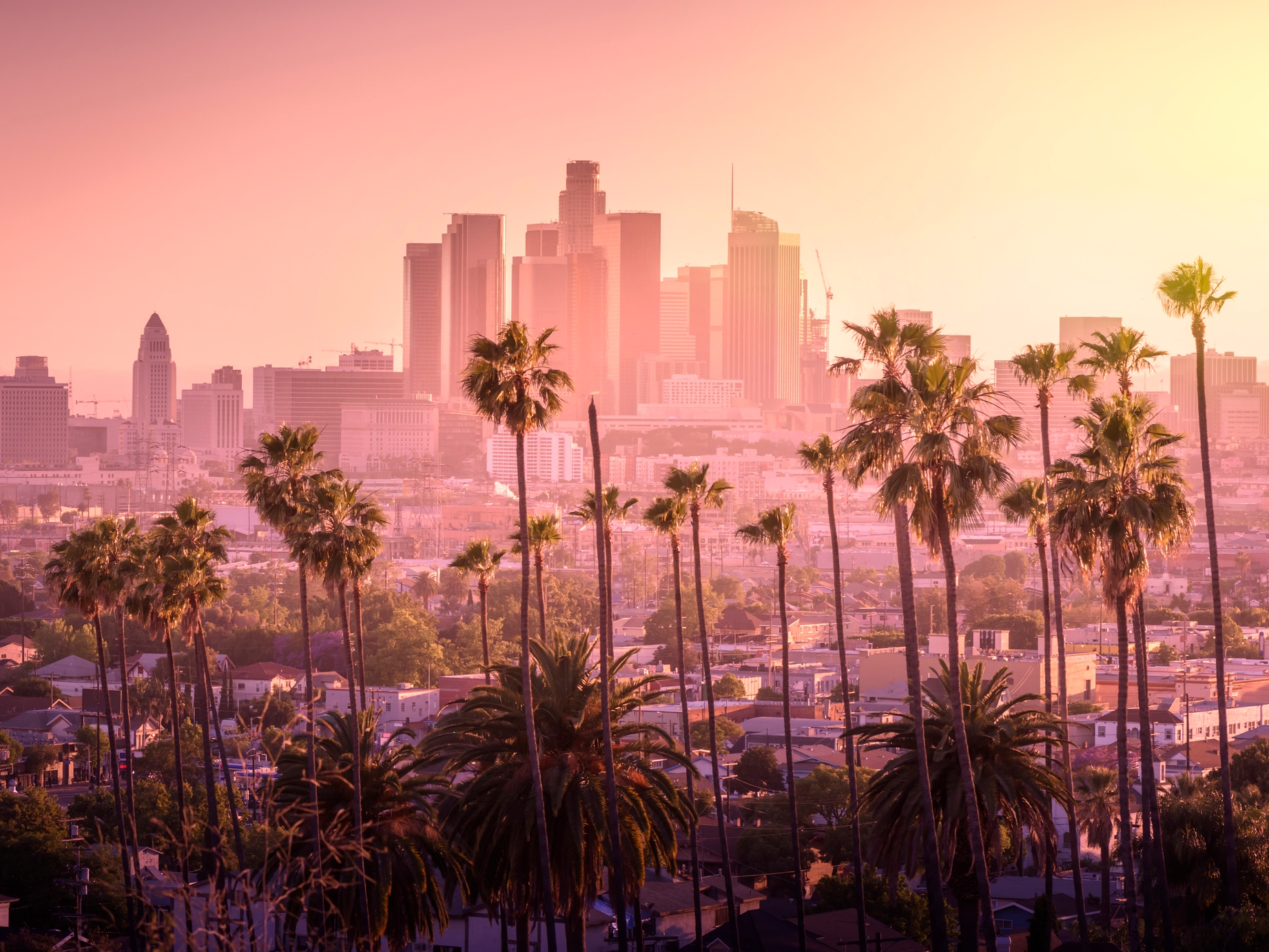 Los Angeles Downtown Skyline  