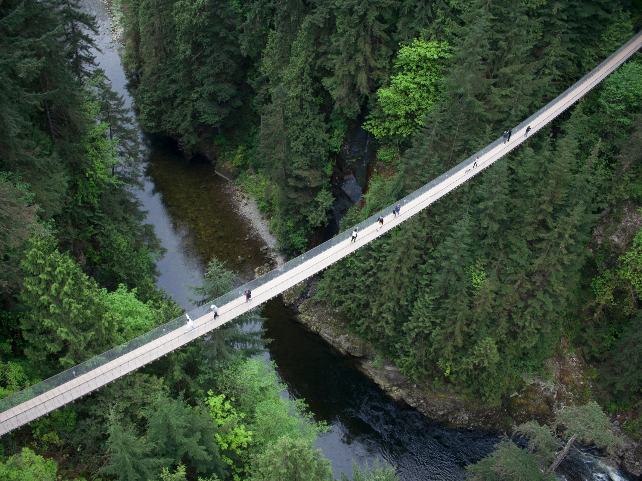 Capilano Suspension Bridge Park