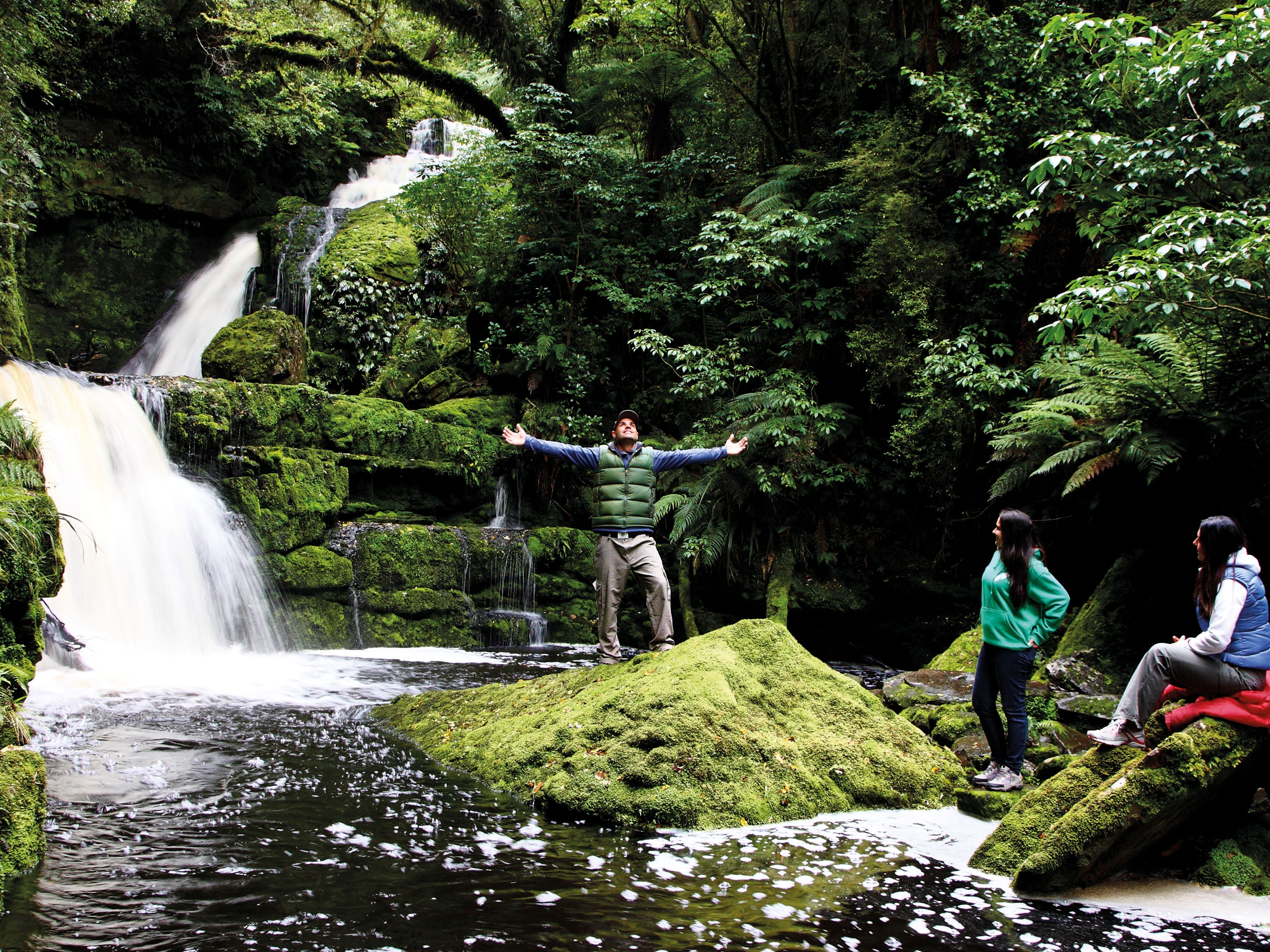 Catlins Forest Park McLean Falls 