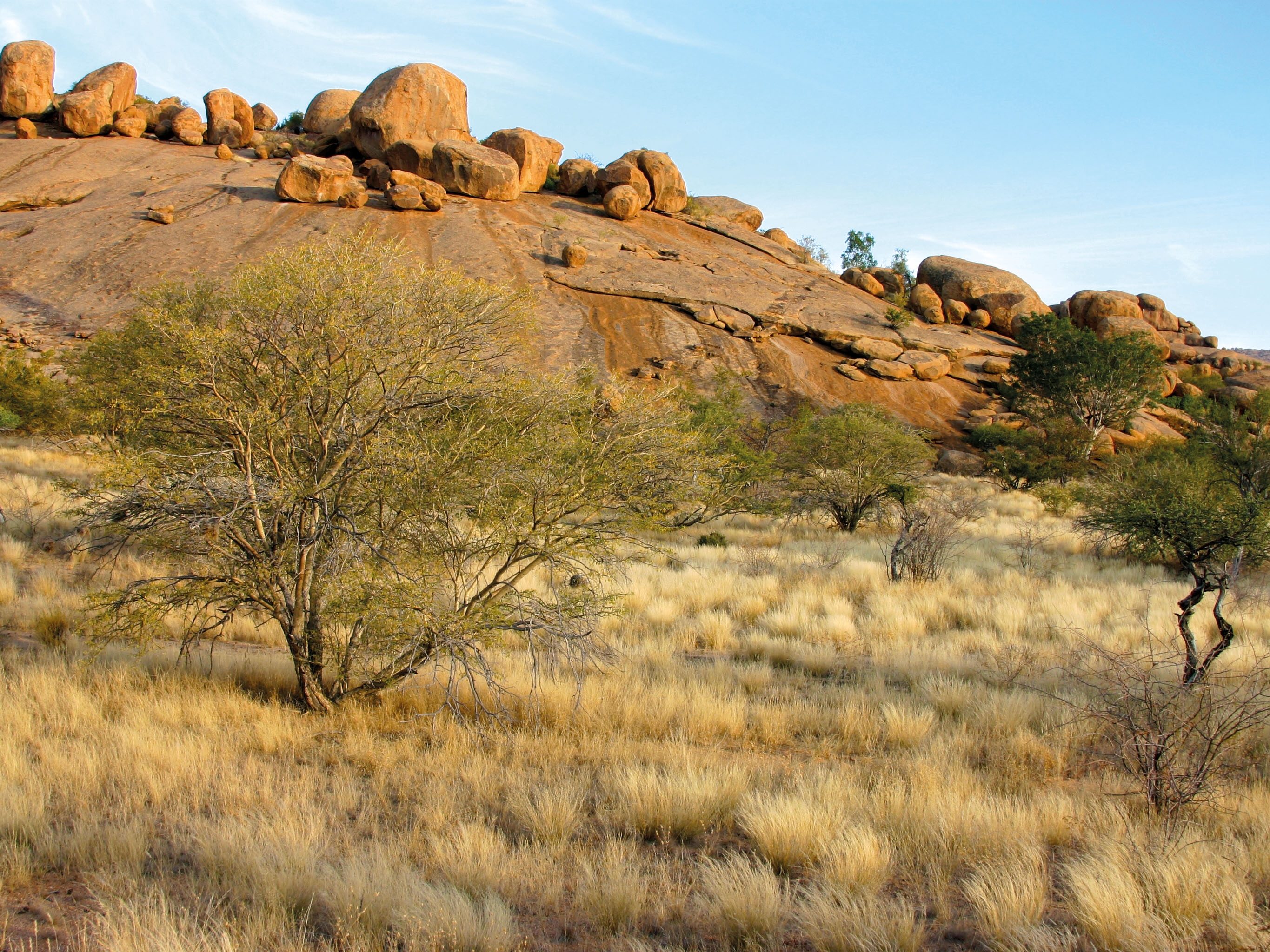 Damaraland