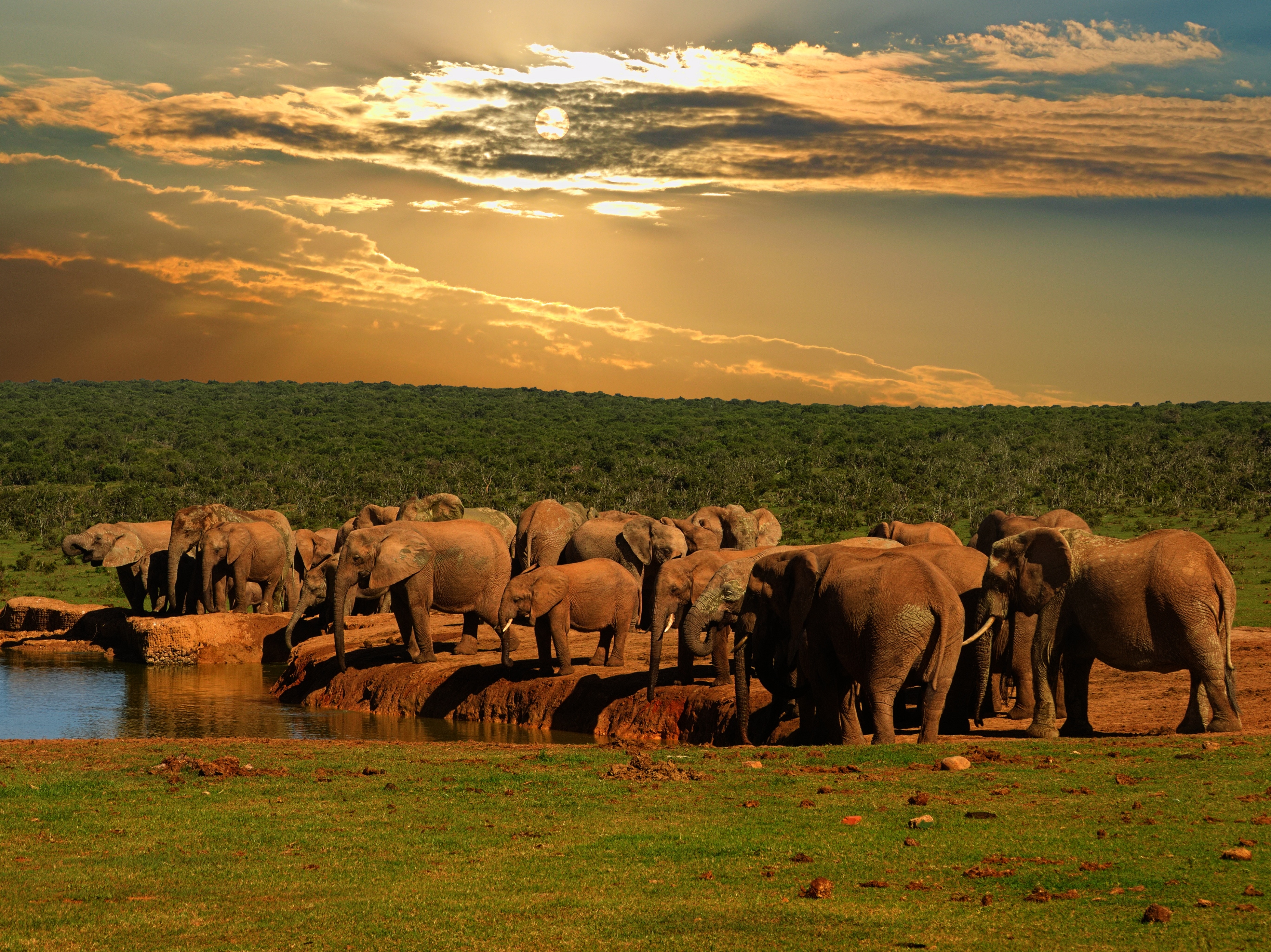 Addo Elefanten Nationalpark