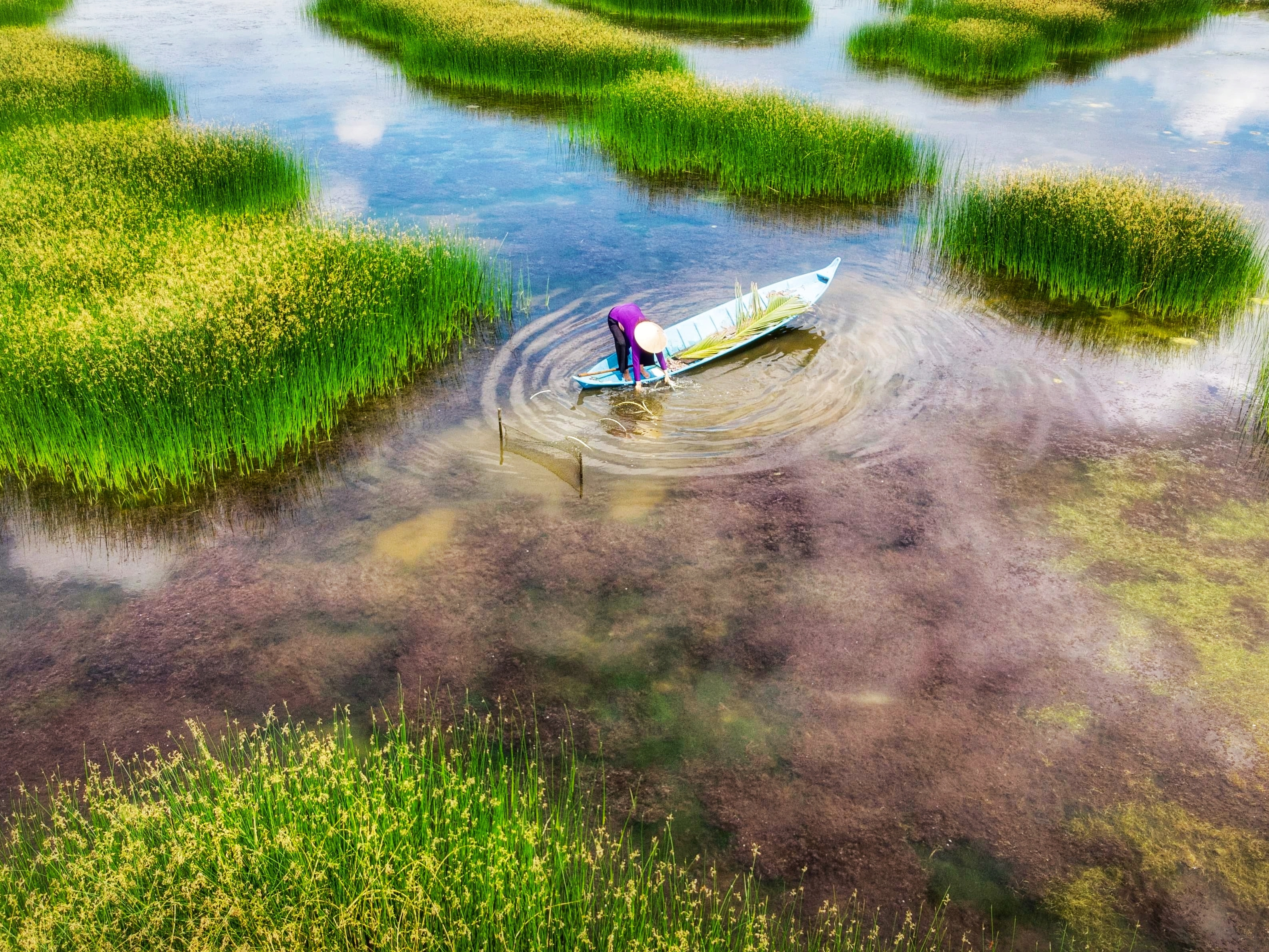 Mekong Delta 