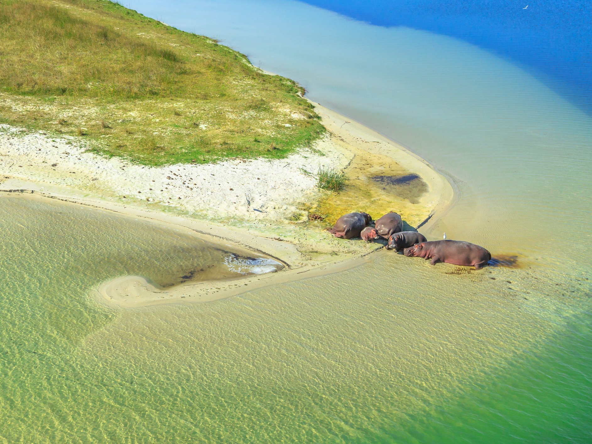 iSimangaliso Wetland Park