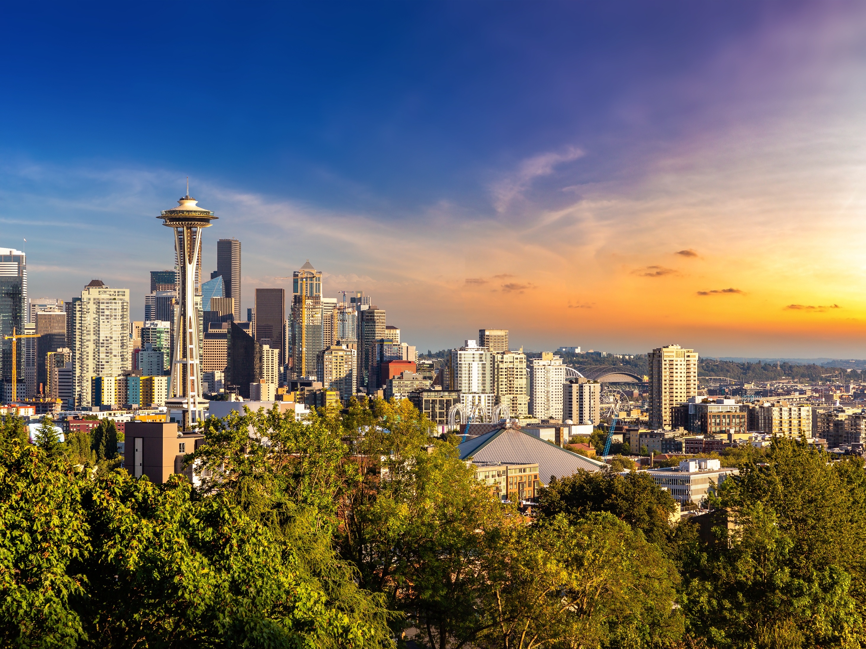Seattle Skyline + Space Needle