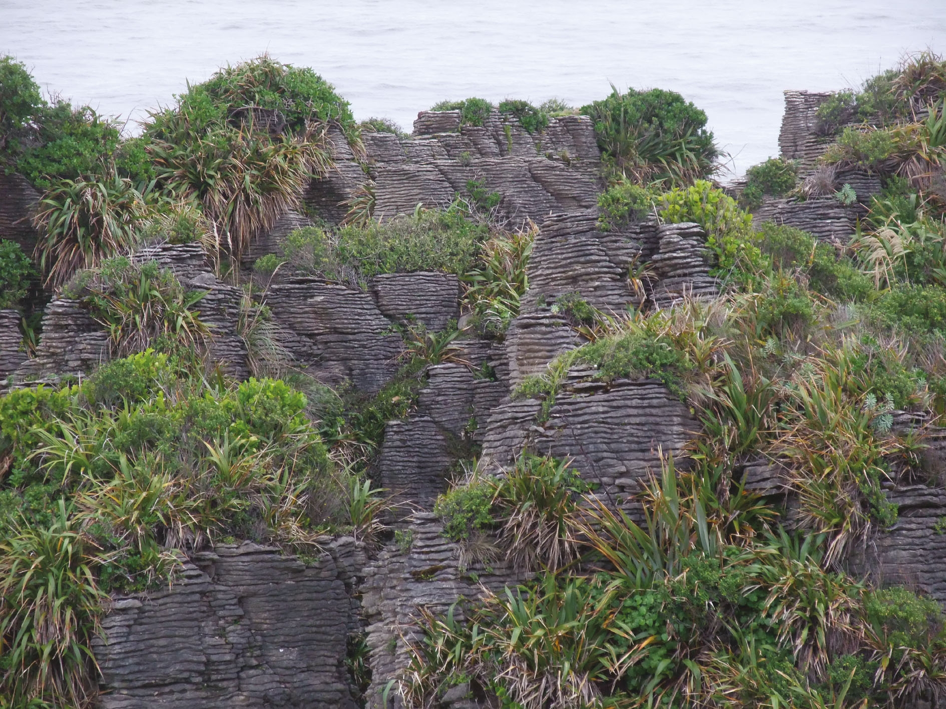 Punakaiki Pancake Rocks 