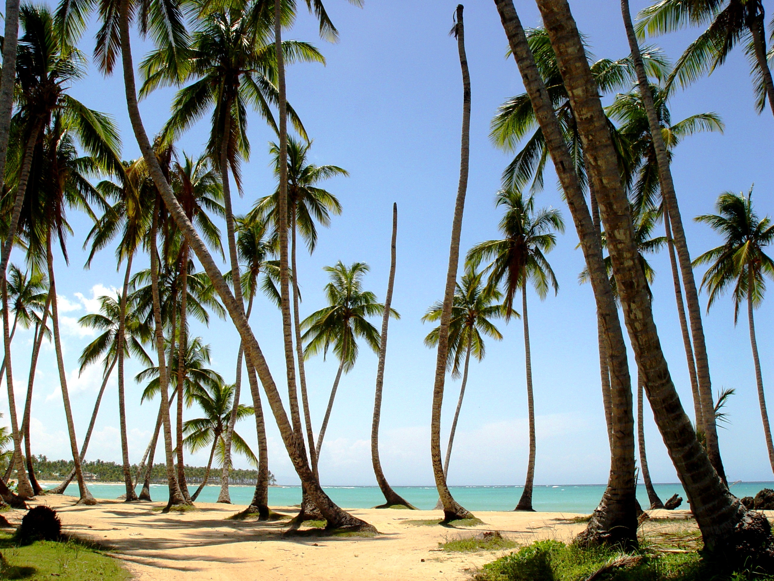 Halbinsel Samana Las Terrenas 