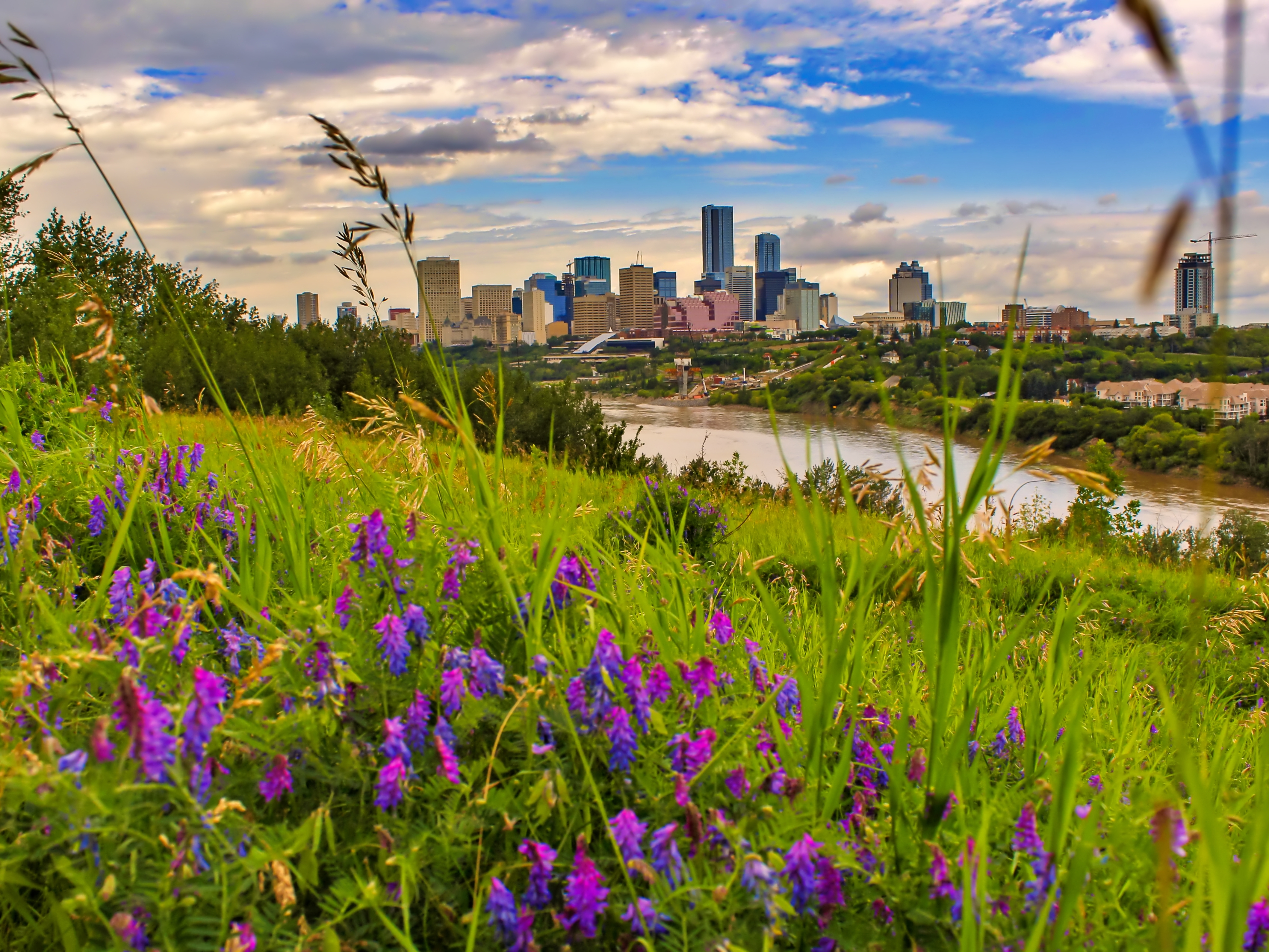 Edmonton Skyline