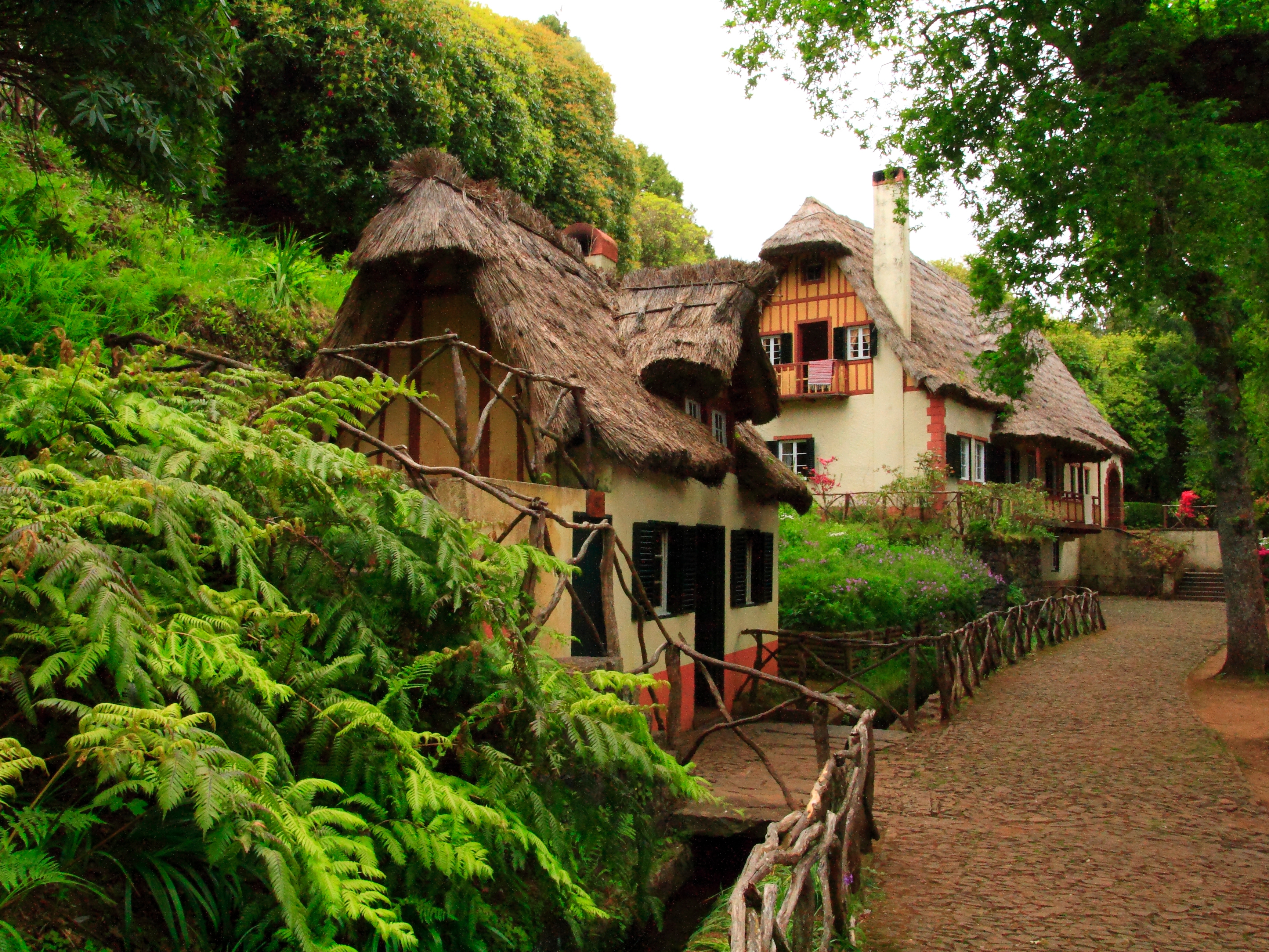 Madeira Queimadas Forest Park