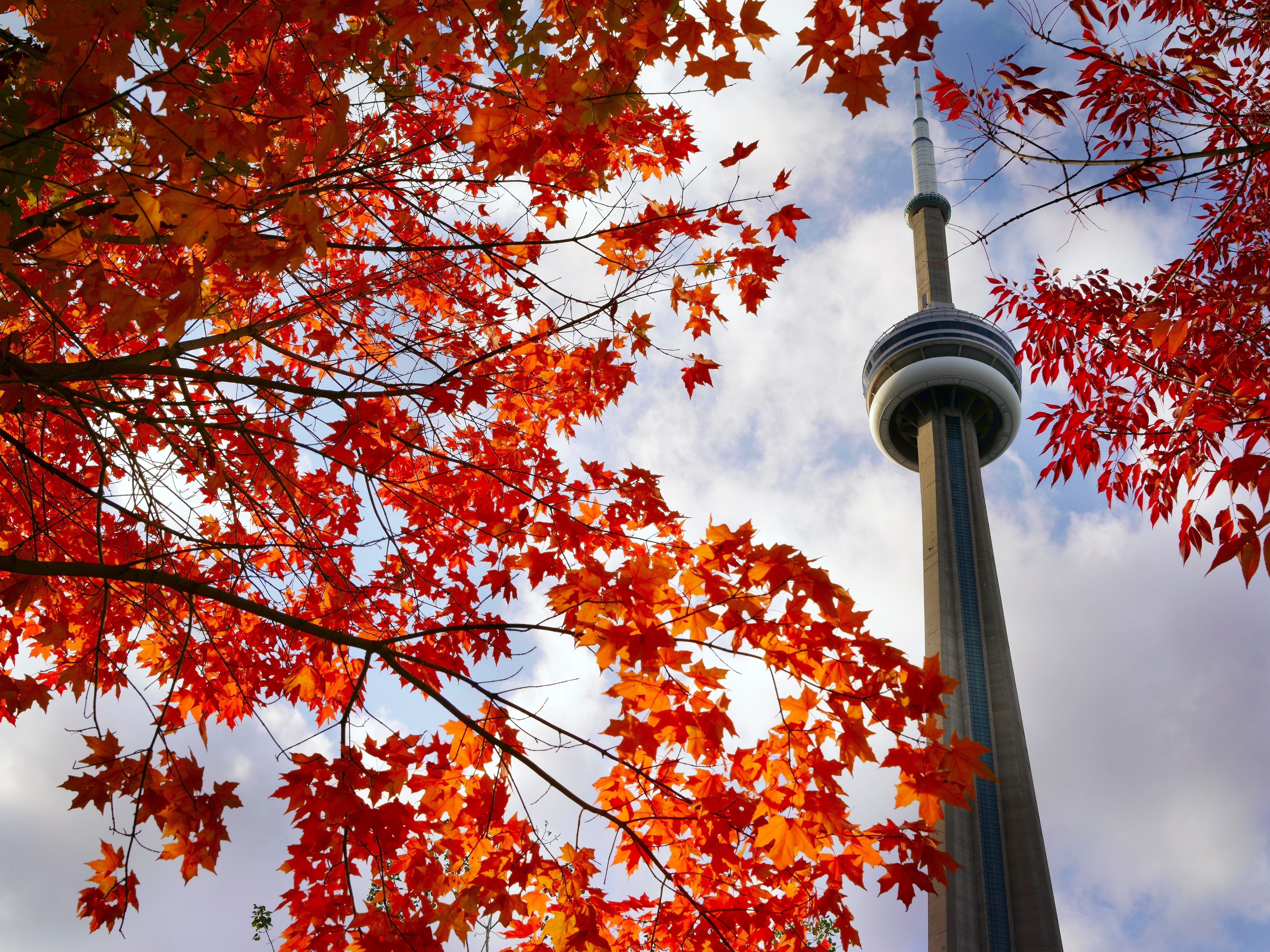 Toronto CN Tower